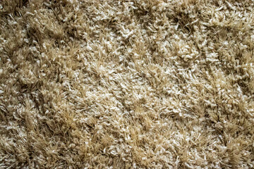 Closeup capture of detailed beige carpet texture pattern.