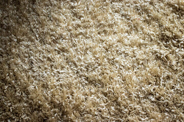  Close-up of a beautiful beige carpet with a stunning pattern, creating a textured and light-filled image.