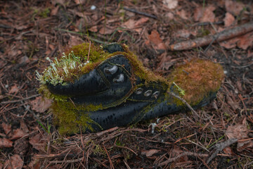 old shoe in forest
