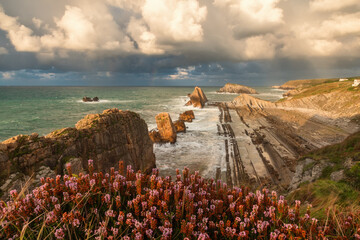Sea coast on Atlantic ocean with Arnia beach in Santander, Cantabria, North Spain with cliffs and flysch rocks. Popular travel destination