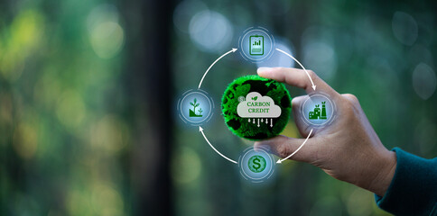 Hand holding CO2 reducing icon with virtual world for decrease carbon dioxide emission, carbon...