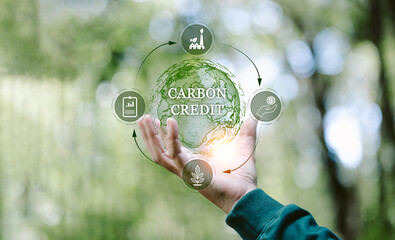 Hand holding CO2 reducing icon with virtual world for decrease carbon dioxide emission, carbon...