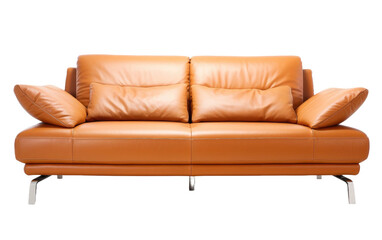 Italian Design Leather Sofa on isolated background