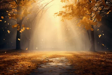 Photo sur Plexiglas Matin avec brouillard Dawn in the woods with a carpet of autumn foliage.