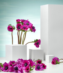 A composition of fresh flowers and white cubes against a blue sky background.