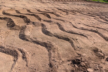 sand background