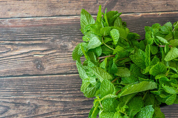 Fresh organic Bunches of mint leaves