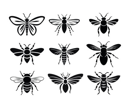 Insect collection vector silhouette