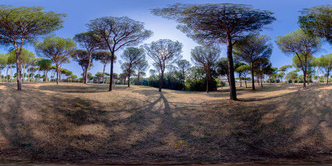 A 360 view of a park in Rome