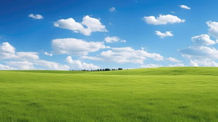 Obraz premium Beautiful natural scenic panorama green field of cut grass into and blue sky with clouds on horizon.
