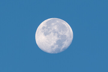 Full Moon in the Morning