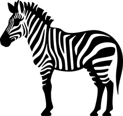 Fototapeta na wymiar Zebra | Black and White Vector illustration