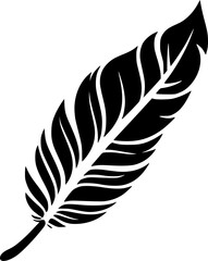 Fototapeta premium Feather | Black and White Vector illustration
