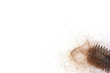 Hair loss in comb, hair fall everyday serious problem, on white background.