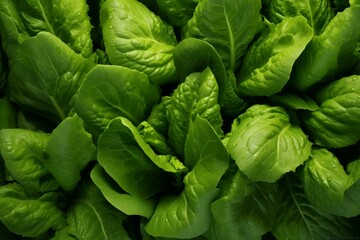 Green leafy vegetable. Generative AI - obrazy, fototapety, plakaty