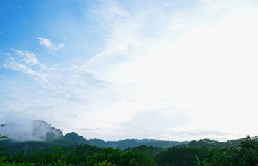 Mountain scenery with cloud cover and greenery. (spot focus)