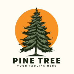 pine tree evergreen design, pine forest