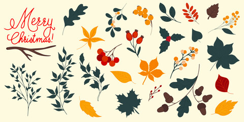 Set of Christmas and floral clipart elements. Cute hand drawn vector scndinavian style illustraton, warm Christmas objects