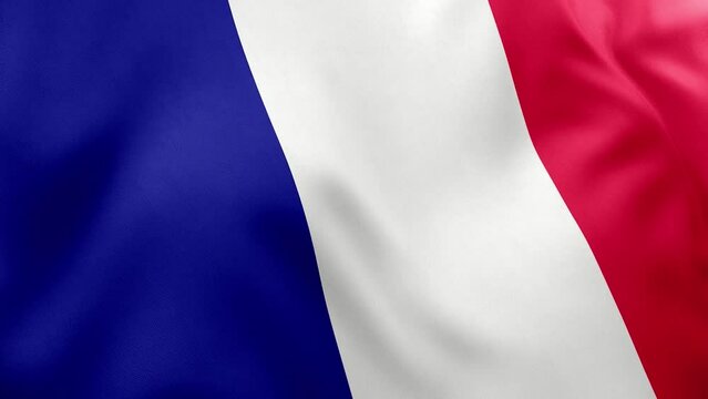  France 3d flag