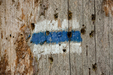 blue wooden door