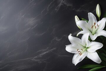 Beautiful white lily flowers on black background with copy space.Funeral Concept