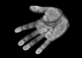 Palm print tinted black and white