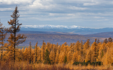 Stanovoy Ridge in autumn