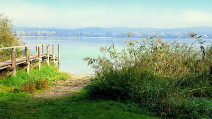 Ausblick von der Insel Reichenau auf den Bodensee mit  Holzsteg, Schilf und Ufer an sonnigem Morgen