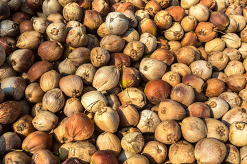 Heaps of coconuts