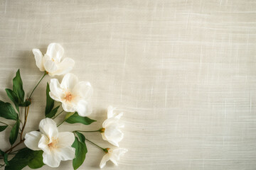 Fototapeta na wymiar Beige linen texture with folds floral shadows; perfect summer wedding background 