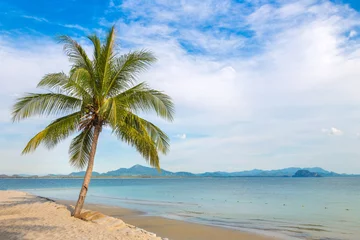 Lichtdoorlatende rolgordijnen zonder boren Bora Bora, Frans Polynesië Single palm tree on beach