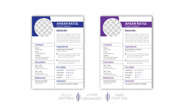 Sleek and Stylish Curriculum Vitae