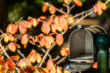 Amerikanischer Briefkasten mit offener Klappe zum einwerfen von Post im Herbst