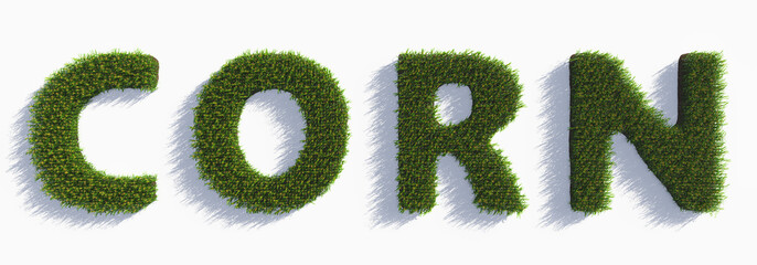 Inscription Corn from plants on a white background. Corn plant 3D on isolated background. Agriculture, business, technology.