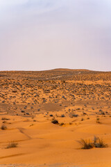 Fototapeta na wymiar Desert in Tunisia