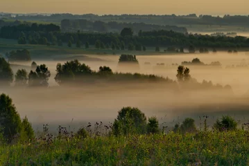 Abwaschbare Fototapete Birkenhain Russia. Altai Territory. Misty dawn in the valleys and ravines of hilly fields with birch groves near the village of Yeltsovka.