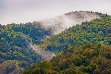 Góry, jesienny las, mgła, dolina popradu, malopolska, poland, eu