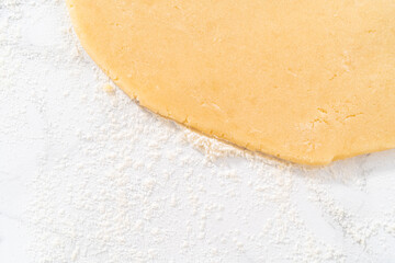 Panda shaped shortbread cookies with chocolate icing