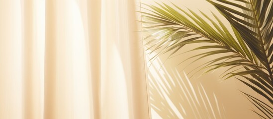 Neutral beige curtain with tropical palm leaves shadows copy space
