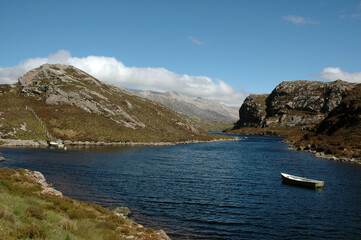 bord de mer; mouton; Tarbet; Ecosse; Grande Bretagne