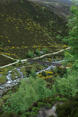 sentiers de randonnées; Réserve naturelle nationale; Monts Cairngorms; Ecosse;.Grande Bretagne