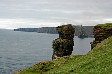 R&eacute;serve naturelle ornithologique, Stonehaven, Ecosse, Grande Bretagne
