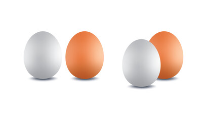 hand drawing chicken eggs. two color chicken eggs