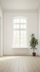 An empty white room with a wooden floor and potted a plant