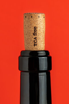 Wine cork without TCA from a bottle of organic wine.