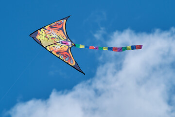 An outdoor kite flying festival. Kites are launched into the blue sky