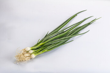 Young aroma fresh green onion