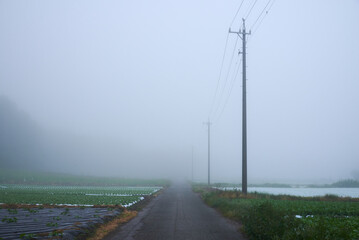 霧の風景