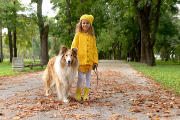 Happy little girl playing with Shetland Sheepdog in the park