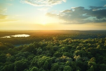 aerial view of a sinuous long river in a green forest at sunse